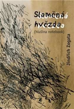 108734-slamena-hvezda